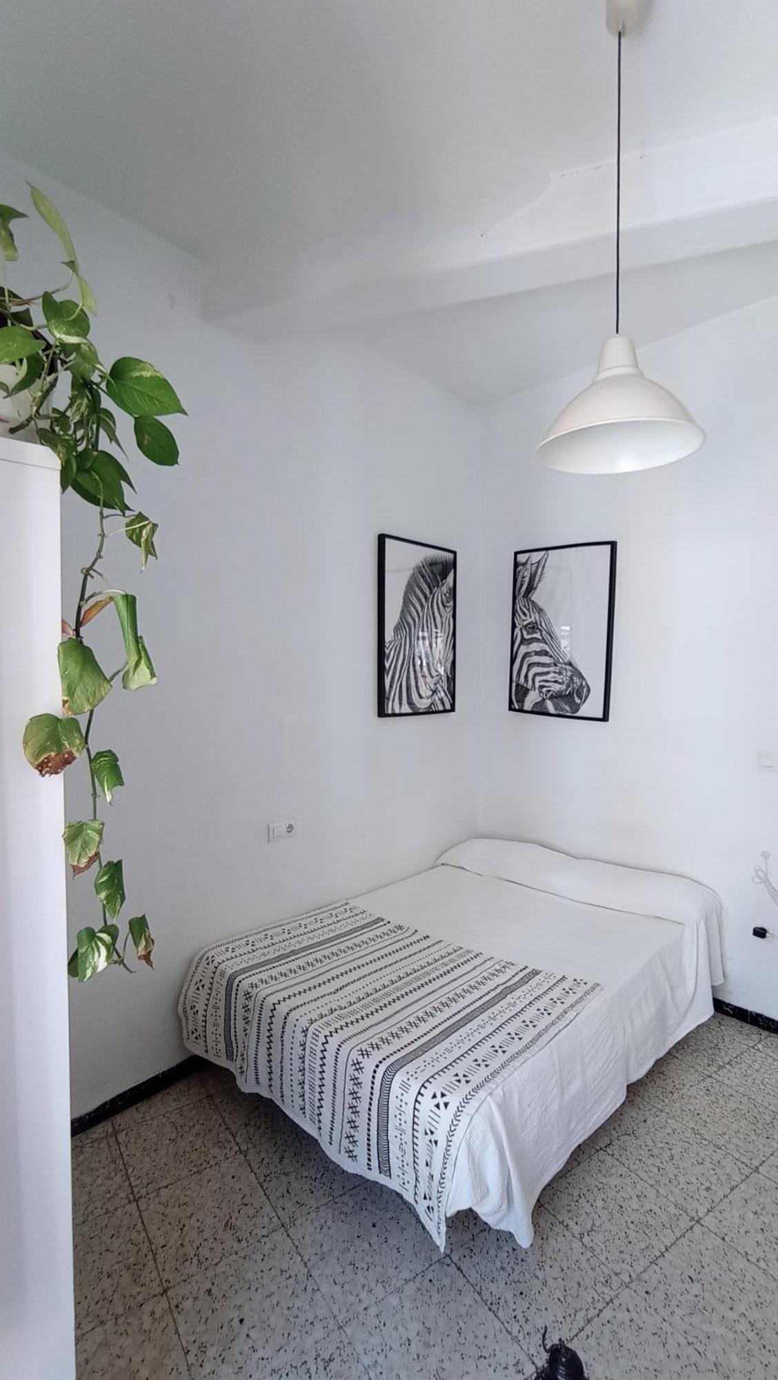 Preciosa Habitacion En Pleno Centro De Sevilla Ideal Para Hacer Turismo Y Vivir La Ciudad Exterior photo